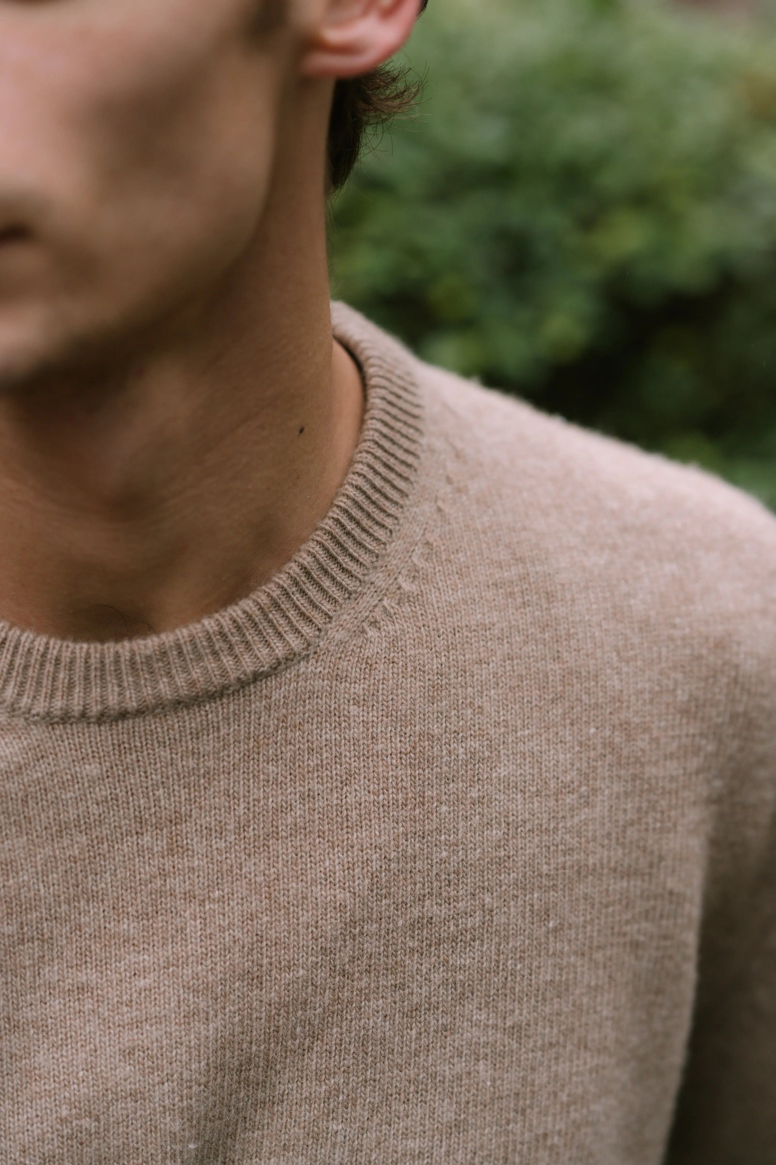 Crew Neck - Wool - Beige Giabe